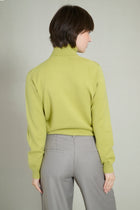 Pull col roulé maille fine sans coutures vert